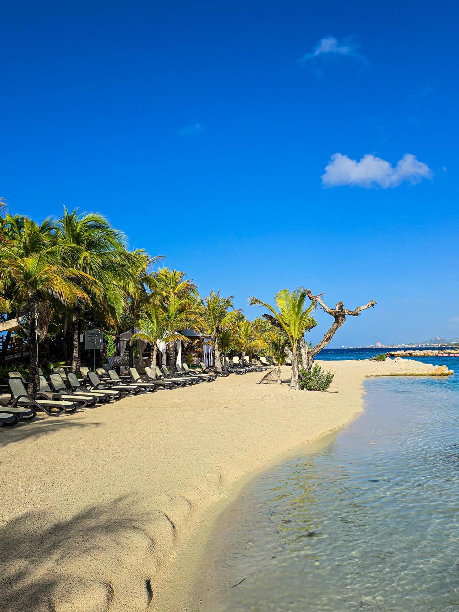 The Royal Sea Aquarium Resort Willemstad Exterior foto